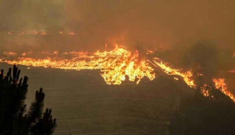 Lee más sobre el artículo El cuidado de la casa común – para prevenir y evitar el fuego