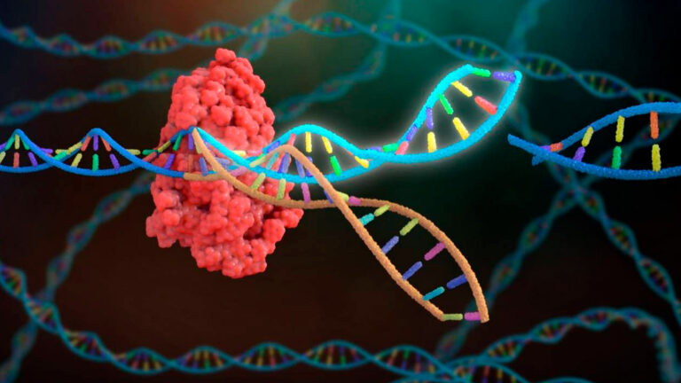 Lee más sobre el artículo CRISPR… ¿debemos poner límites a la edición genética?