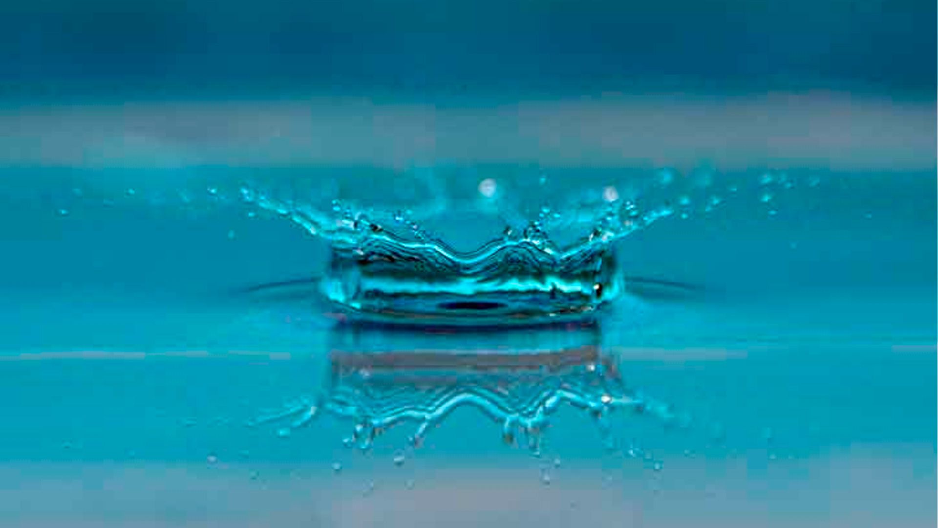 Lee más sobre el artículo II Seminario sobre Ecología Integral