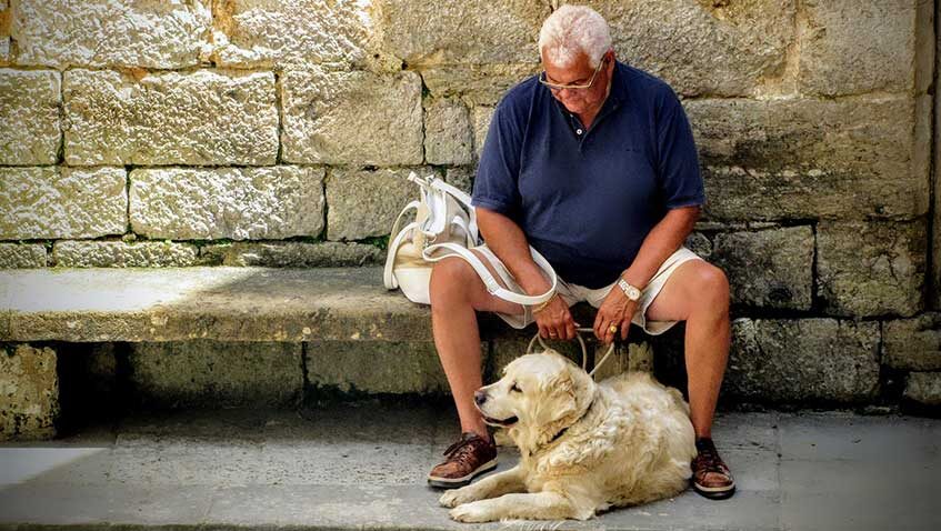 En este momento estás viendo El nombre del perro