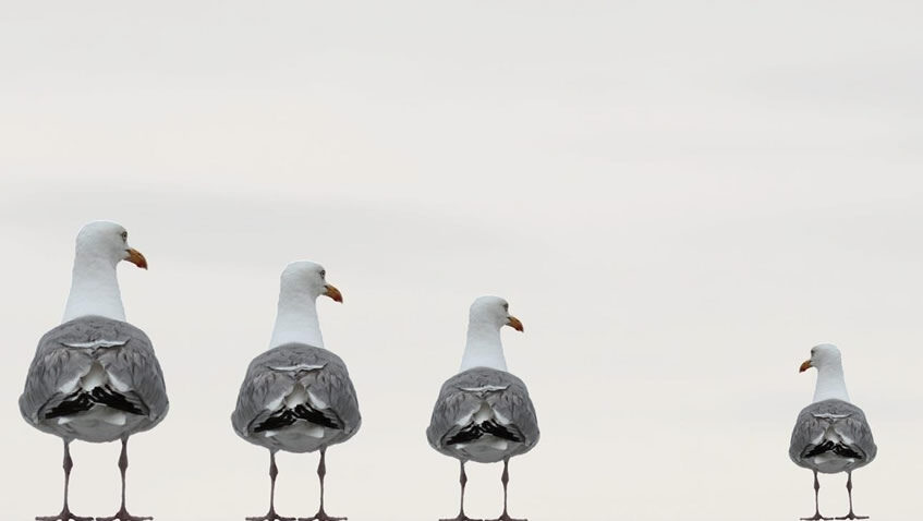 Lee más sobre el artículo I Seminario de Trabajo sobre Bioética y Discapacidad: anteproyecto sobre la capacidad jurídica de las personas con discapacidad