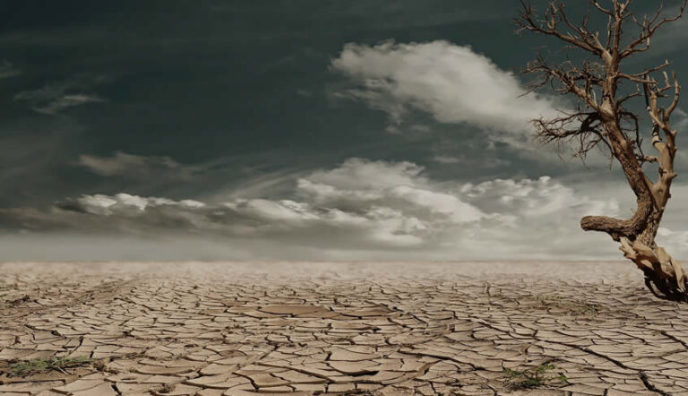 Lee más sobre el artículo Declaración conjunta sobre la justicia climática