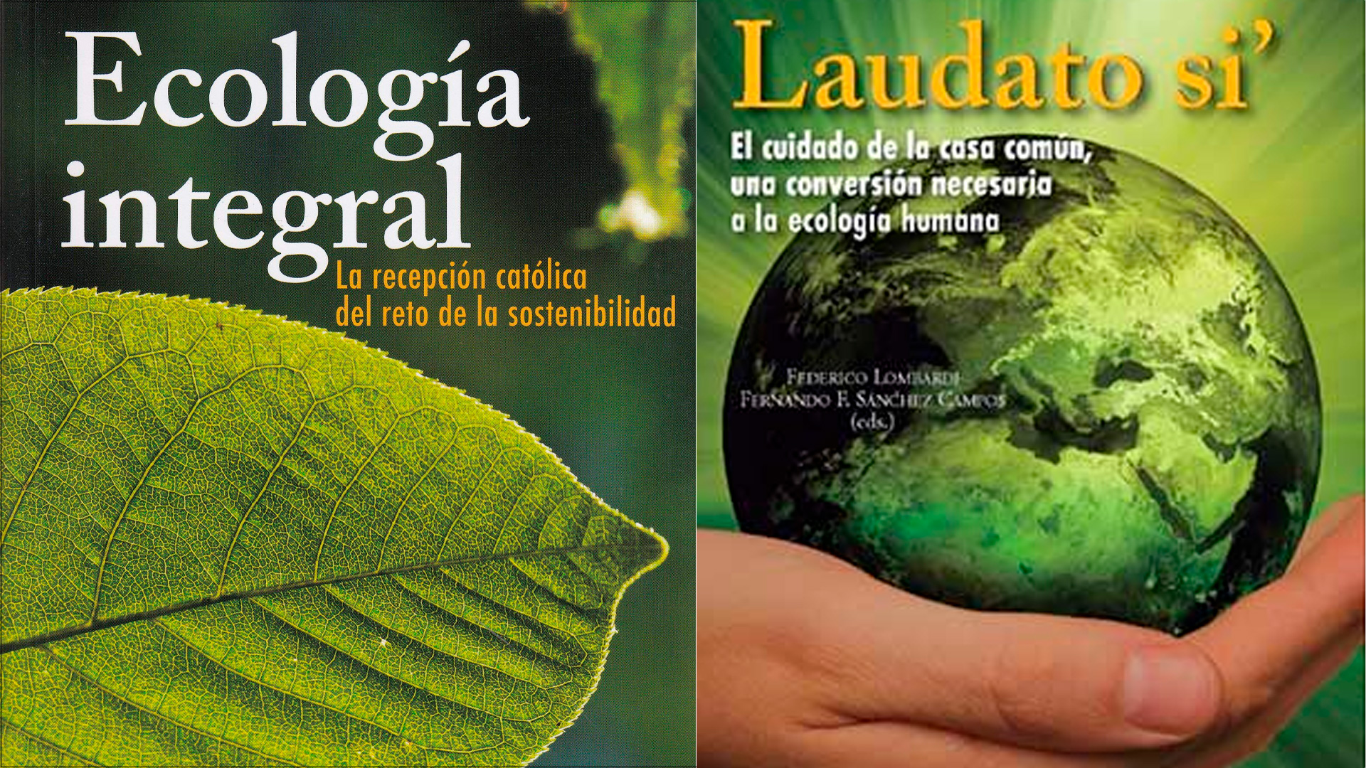 Lee más sobre el artículo Sobre el cuidado de la Casa Común: dos interesantes libros publicados por la BAC