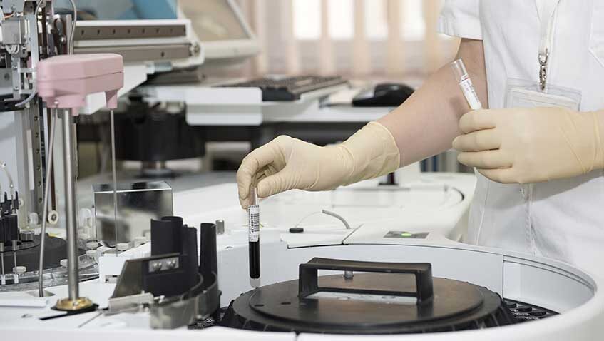 Lee más sobre el artículo La nueva edición genética: el peligro de lo fácil