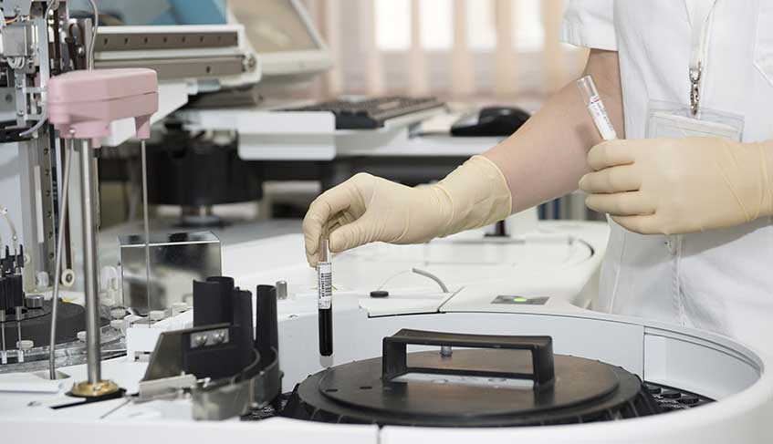 Lee más sobre el artículo La nueva edición genética: el peligro de lo fácil