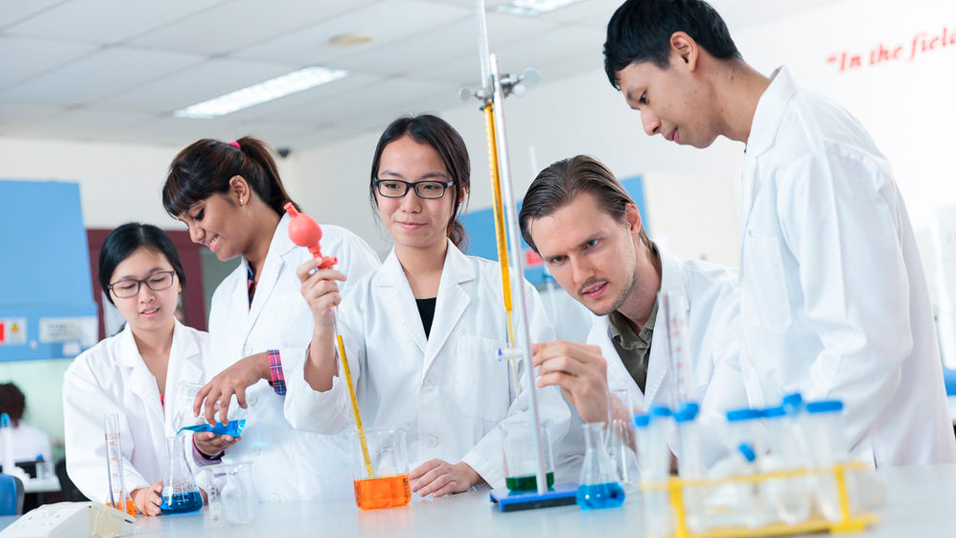 Lee más sobre el artículo La importancia de la fundamentación en Bioética