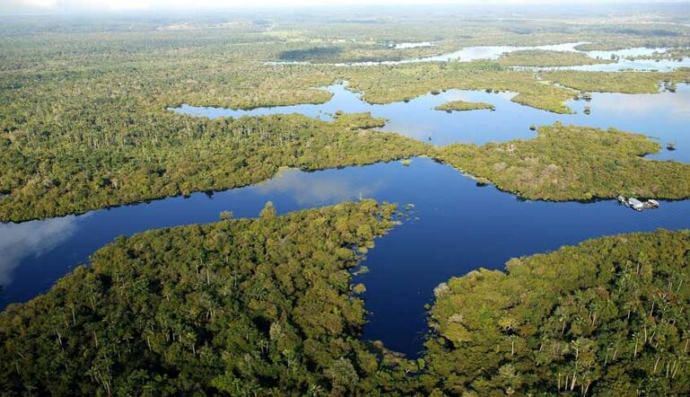 Lee más sobre el artículo Amazonía: nuevos caminos para la Iglesia y para una ecología integral