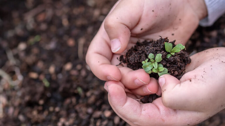 Lee más sobre el artículo III Seminario de Ecología Integral