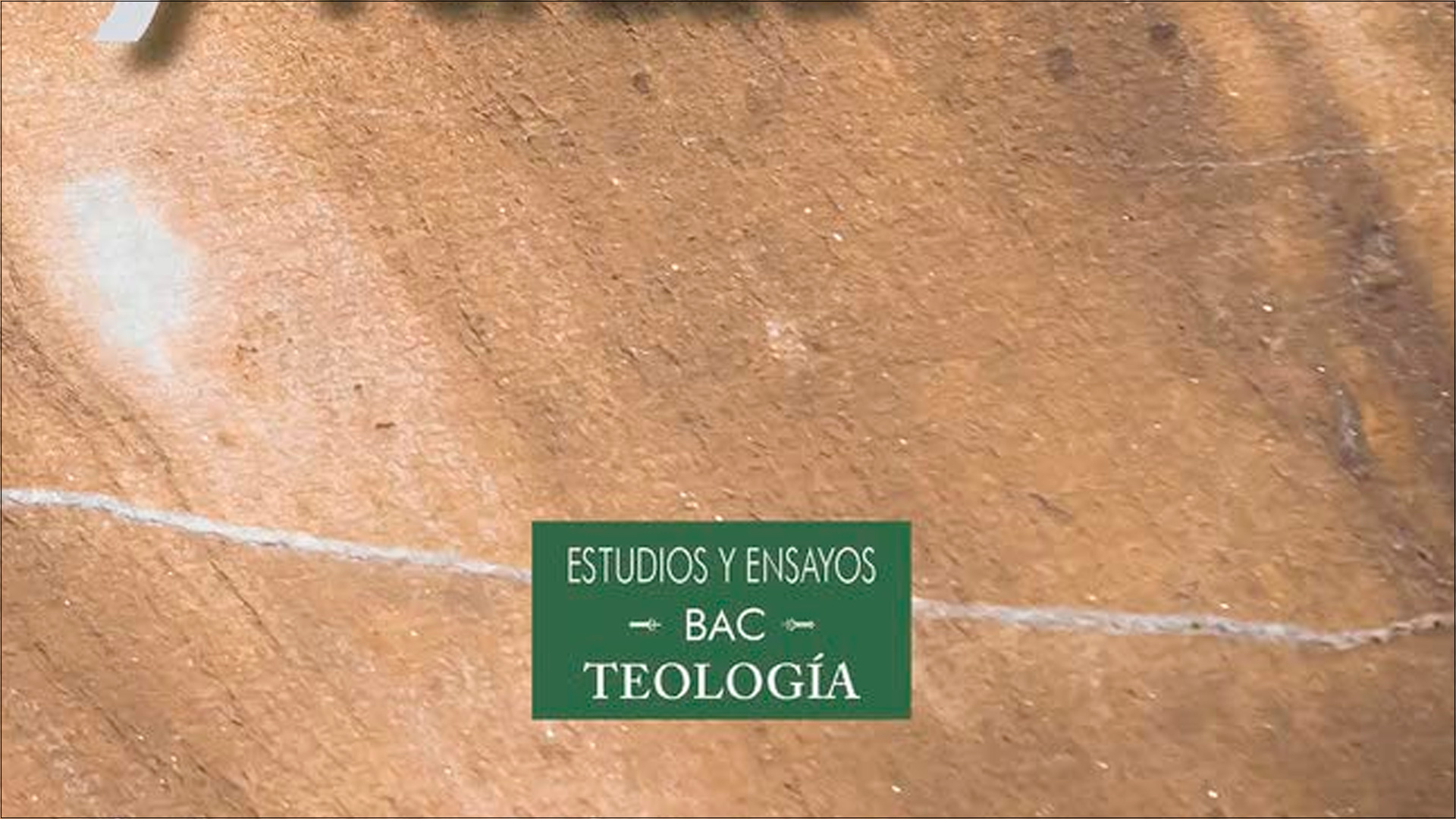 Lee más sobre el artículo “Conciencia, discernimiento y verdad”