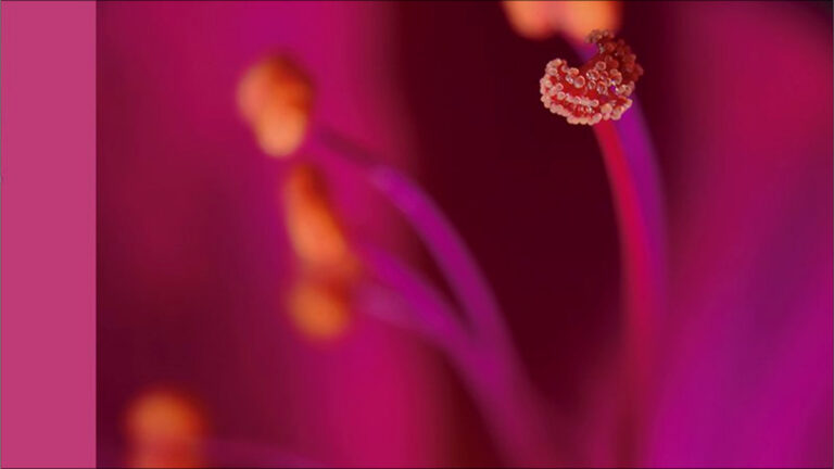 Lee más sobre el artículo Una visión enriquecida de la realidad