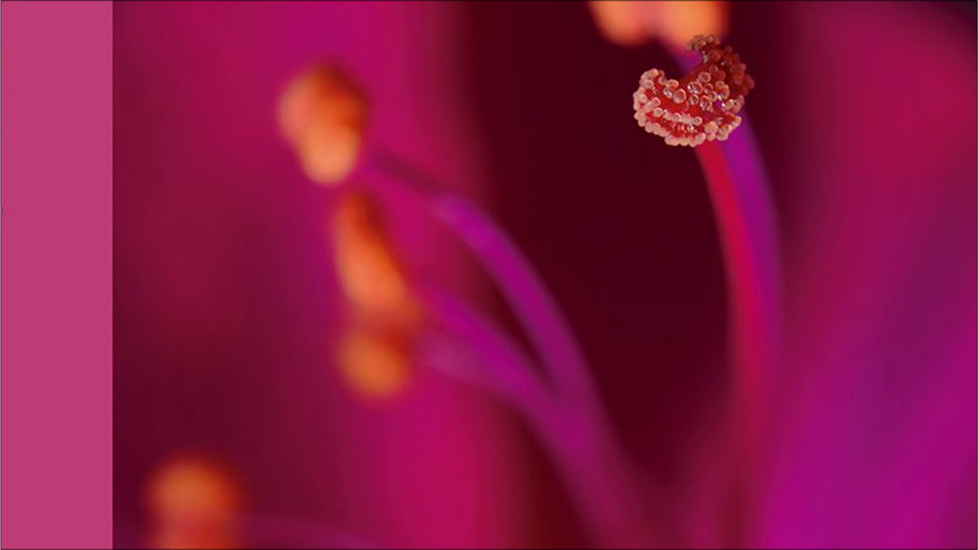 En este momento estás viendo Una visión enriquecida de la realidad