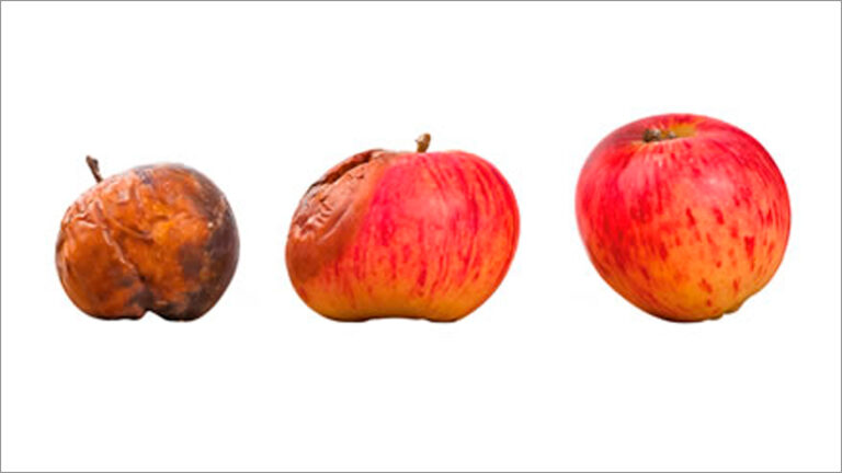 Lee más sobre el artículo Bioética en tiempos de COVID-19, “para pensar y amar mejor”