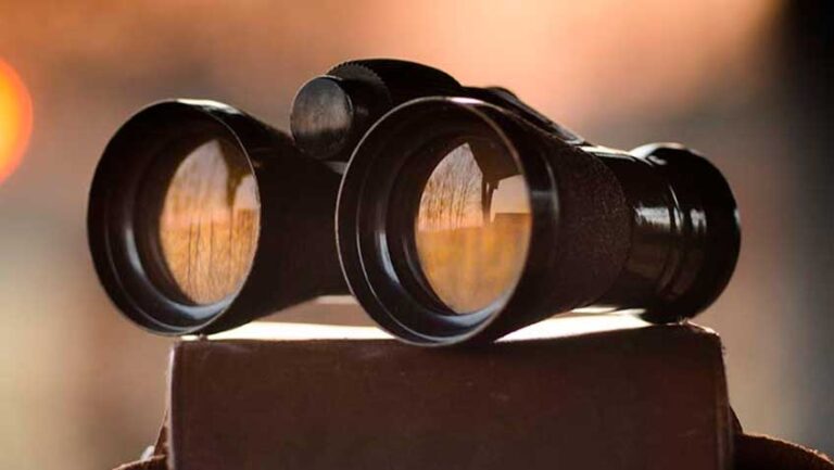 Lee más sobre el artículo Una mirada a la situación española