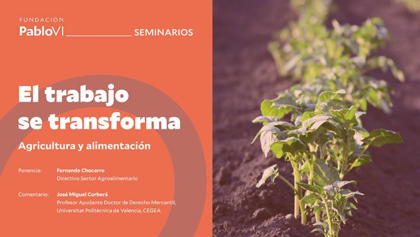 Lee más sobre el artículo  “El trabajo se transforma”: Agricultura y alimentación