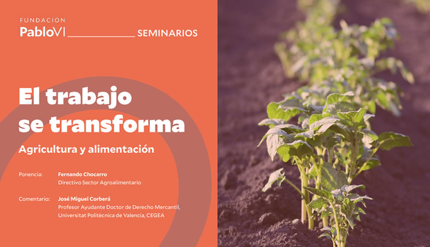Lee más sobre el artículo  “El trabajo se transforma”: Agricultura y alimentación