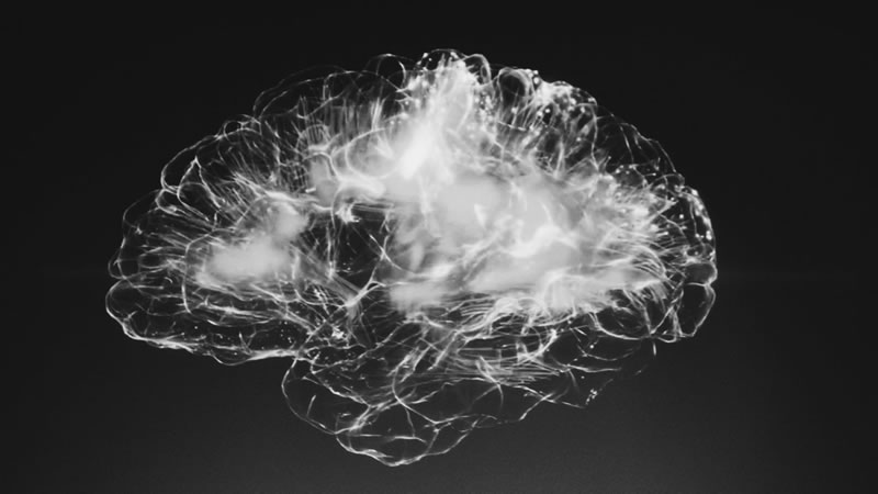 Neuroetica3