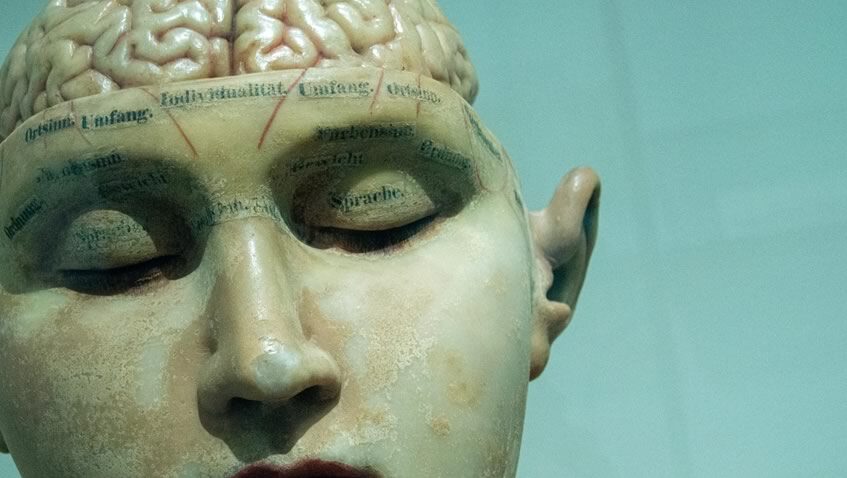 Lee más sobre el artículo Veinte años de Neuroética