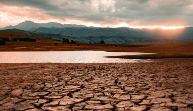 Lee más sobre el artículo VI Seminario de Ecología Integral
