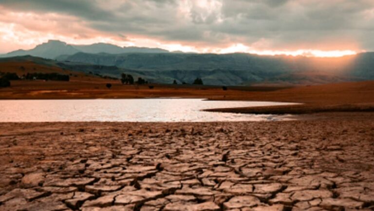 Lee más sobre el artículo VI Seminario de Ecología Integral