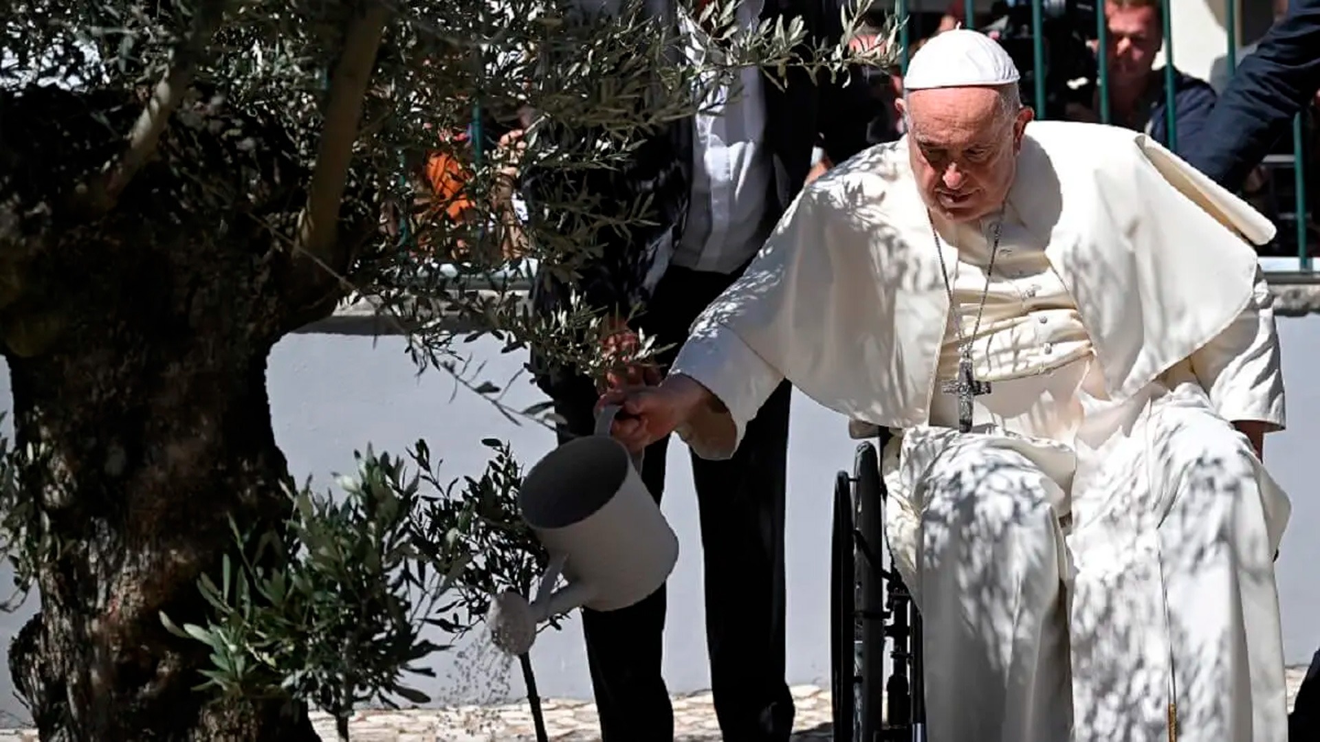 En este momento estás viendo Laudate Deum