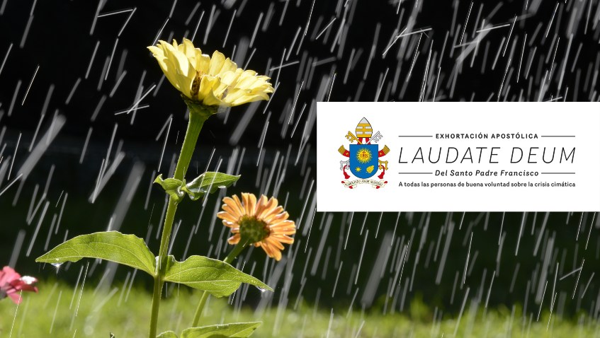 Lee más sobre el artículo Una llamada a la responsabilidad frente a la crisis climática
