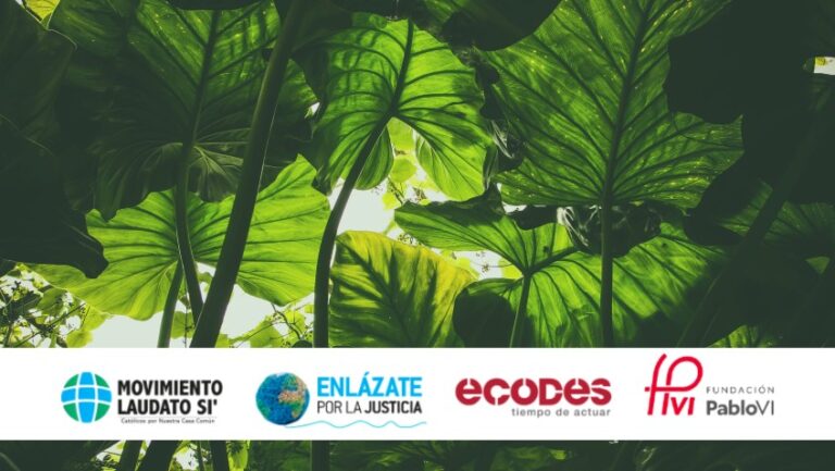 Lee más sobre el artículo Que la COP 28 no sea una cumbre más