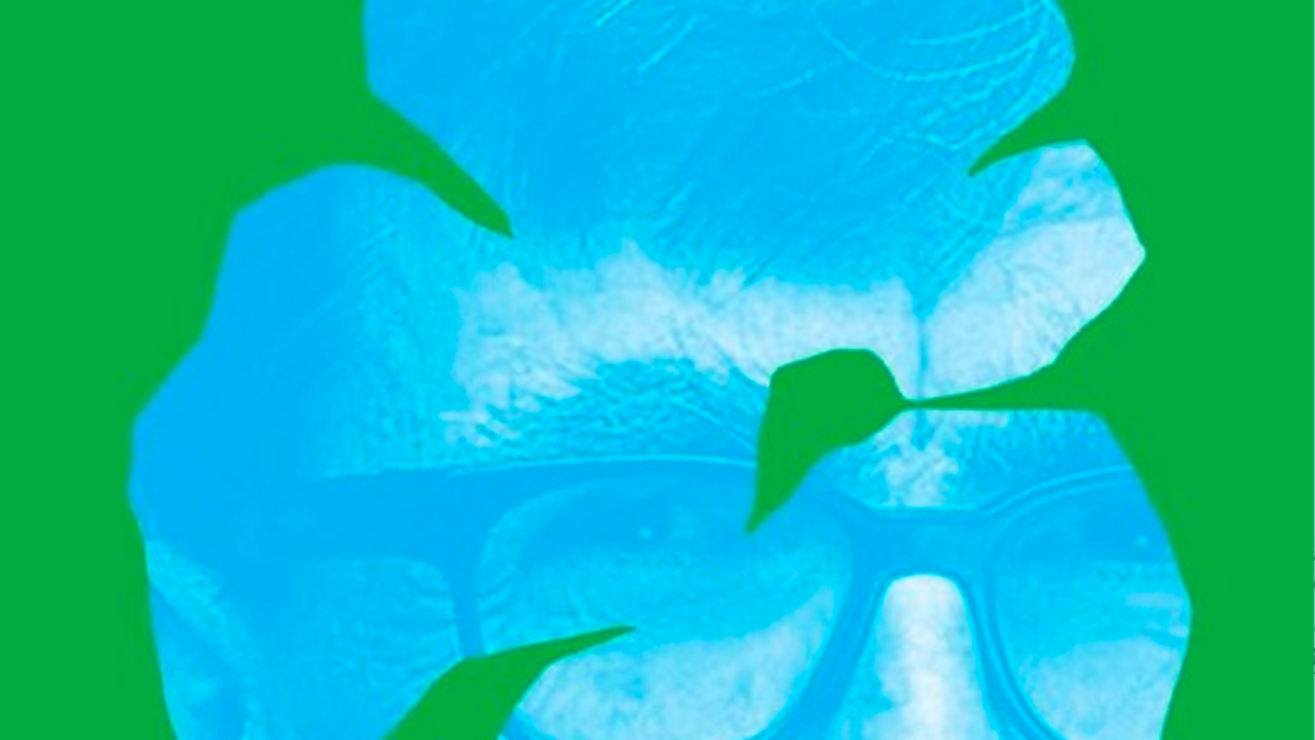 En este momento estás viendo Componer un mundo en común. ¿Por qué necesitamos a Bruno Latour?