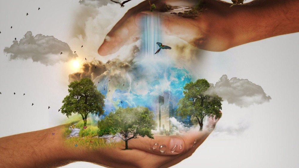 naturalezaciencia