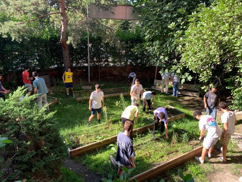 La Fundación Pablo VI por una ecología integral La Fundación Pablo VI por una ecología integral