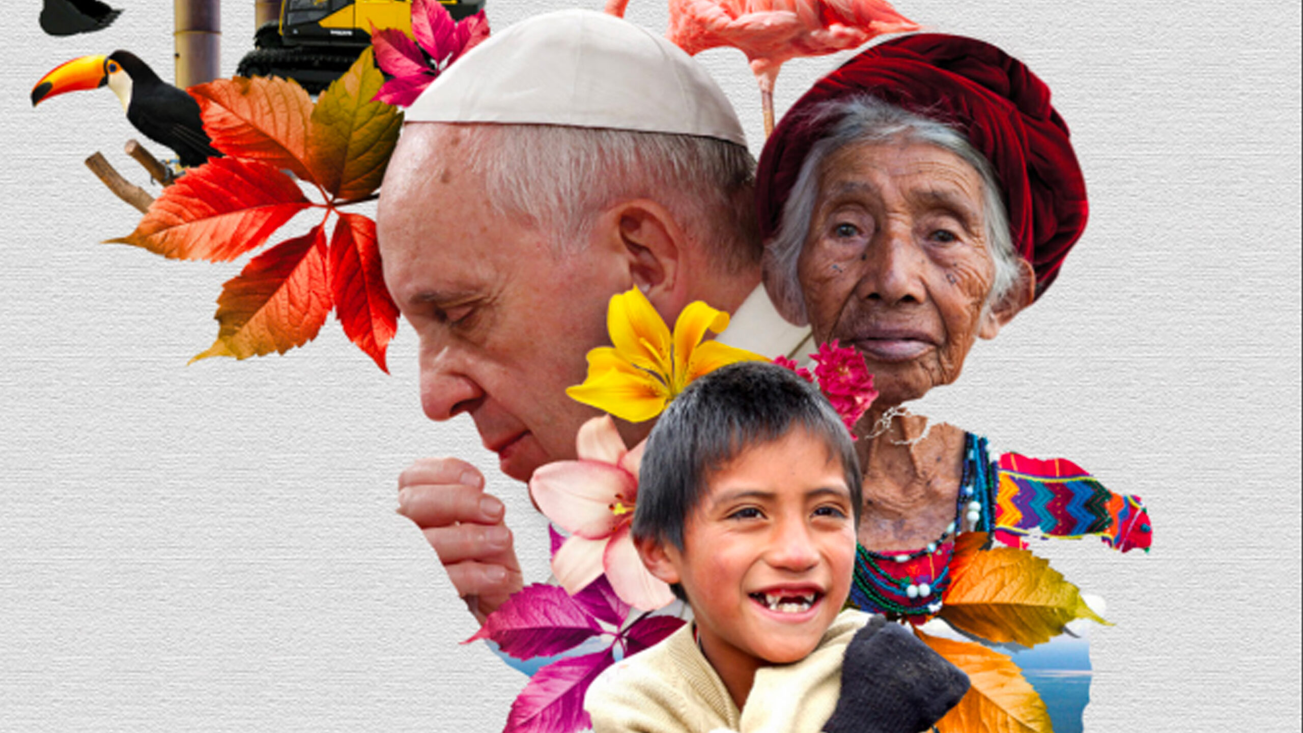 En este momento estás viendo Discípulos misioneros, custodios de la Casa Común