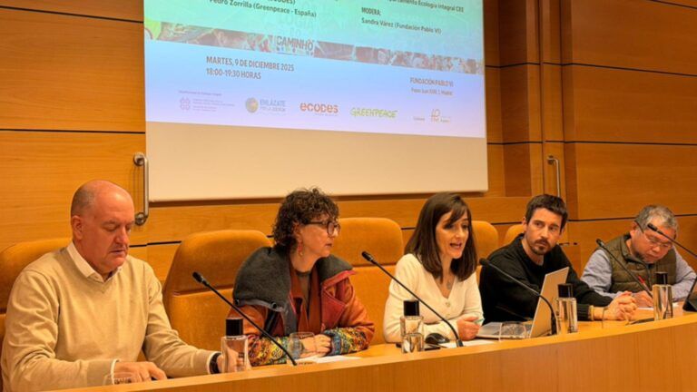 Lee más sobre el artículo Organizaciones civiles y eclesiales seguirán trabajando por la justicia climática como un “deber moral”