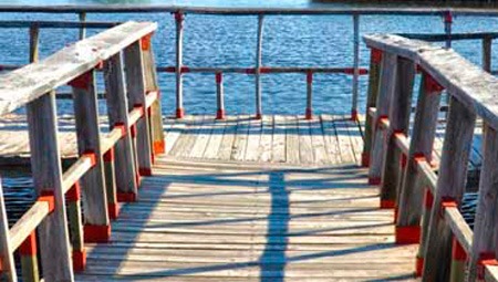 Cuando el valor está en la sostenibilidad